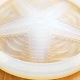 Opalescent sea star table mat
