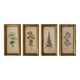 Set of 4 vintage plant botanical lithograph paintings