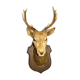 Deer head 10 horns