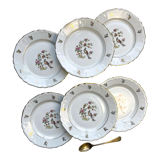 6 Limoges Berry porcelain plates with bird of paradise motif