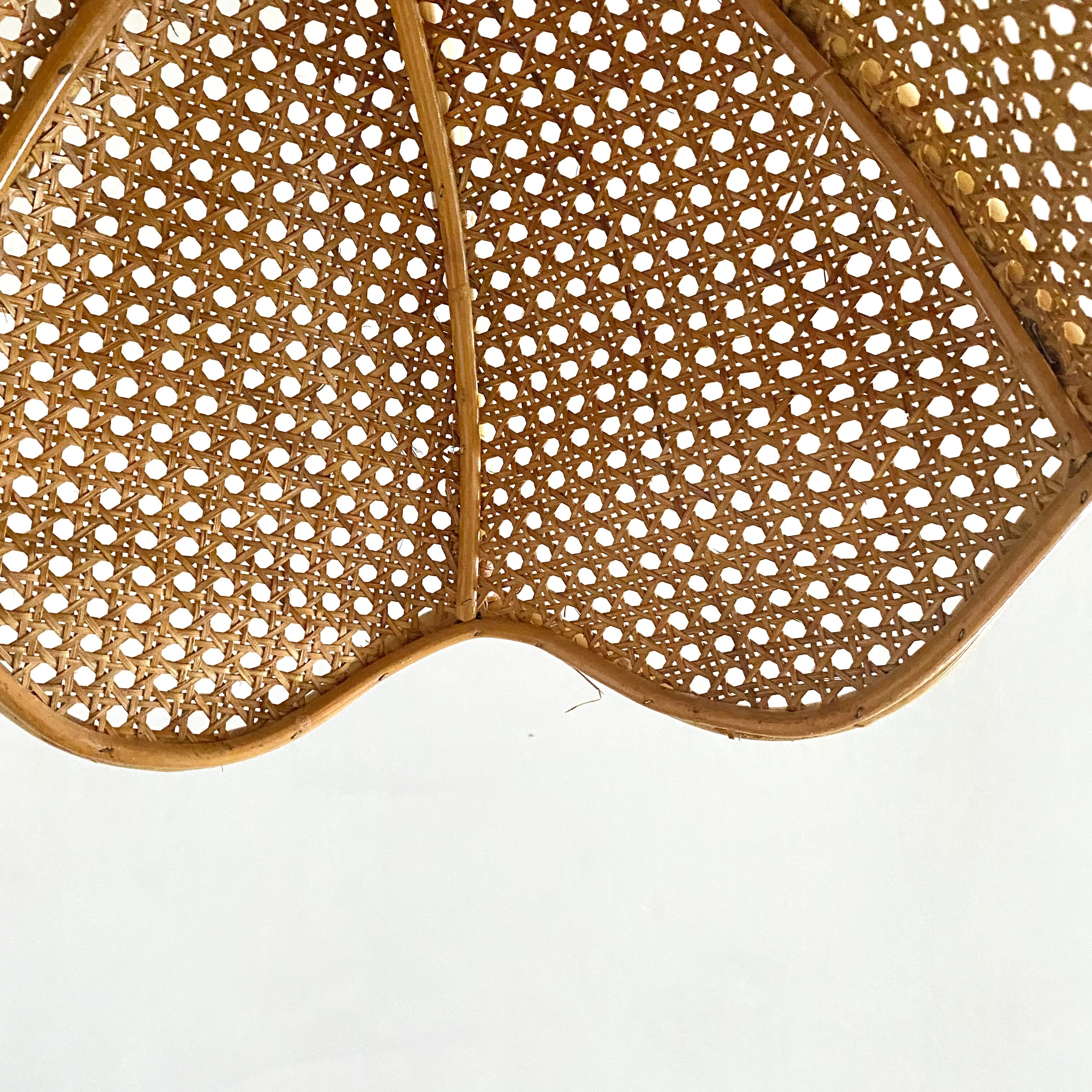 Rattan lampshade and canning to hang