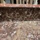 20th century solid fir washbasin unit