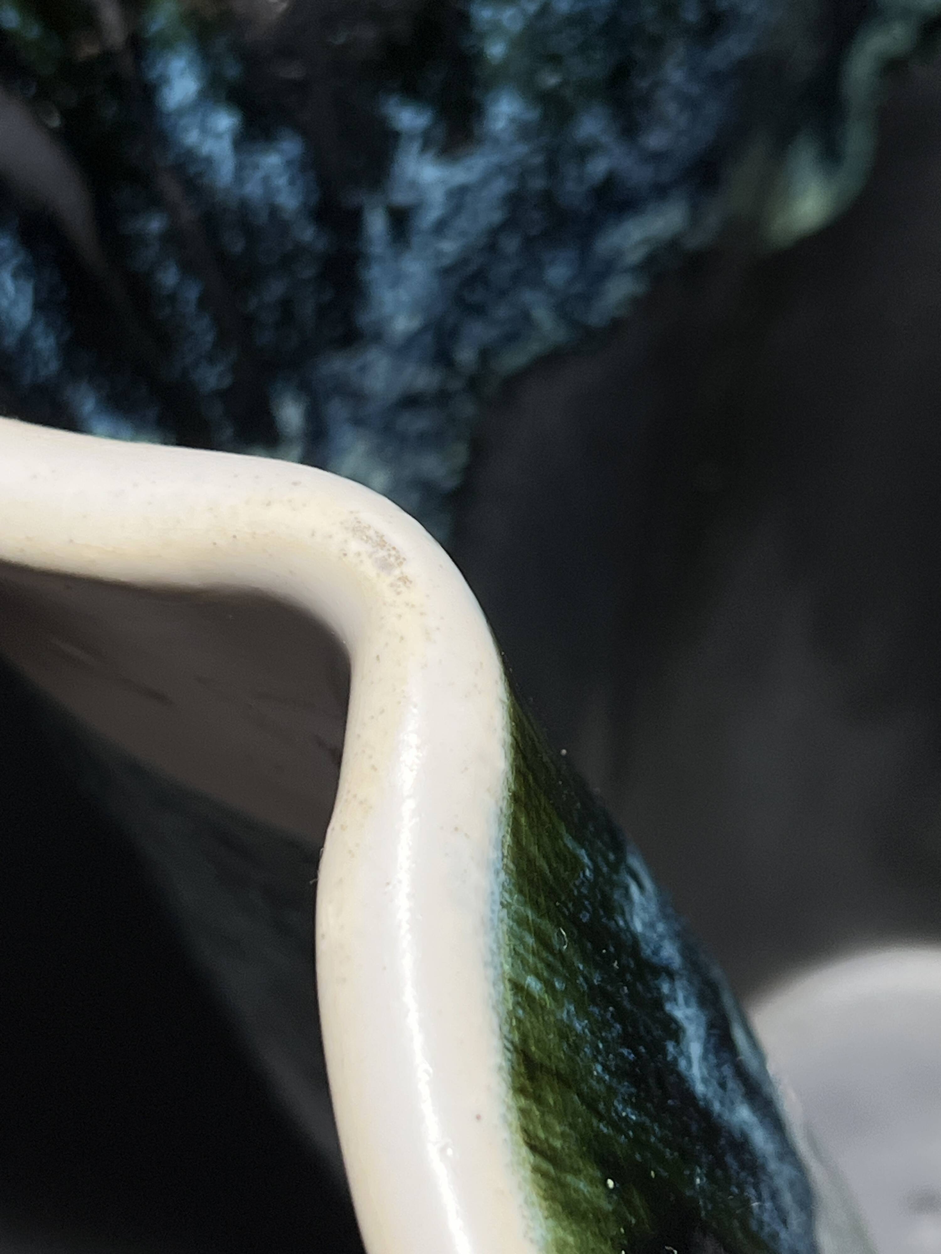 Enamelled ceramic vase signed Elchinger 1950