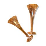 2 large iridescent champagne flutes