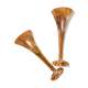 2 large iridescent champagne flutes