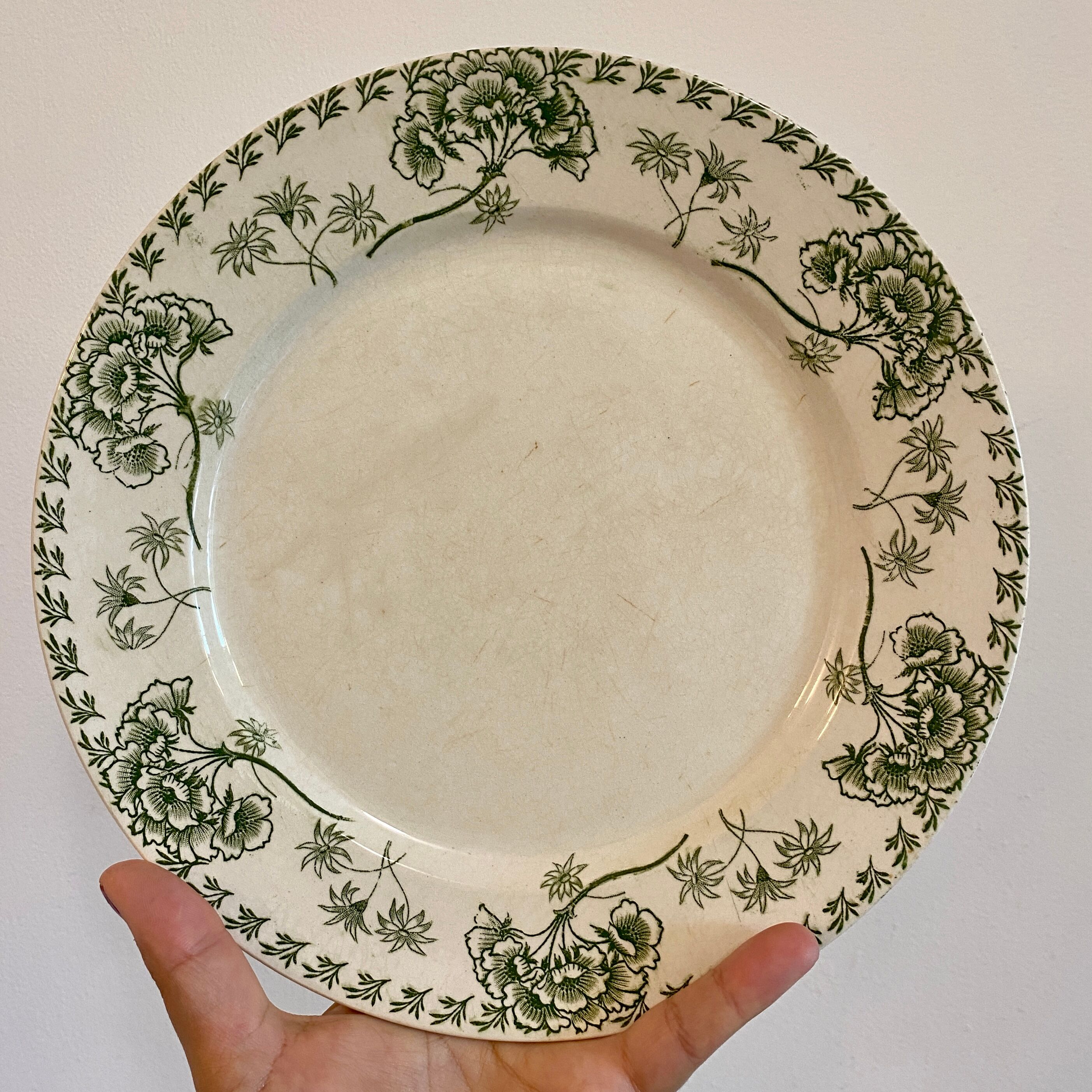 Set of 8 vintage plates in palmyre de sarreguemines iron earth (lot 3)
