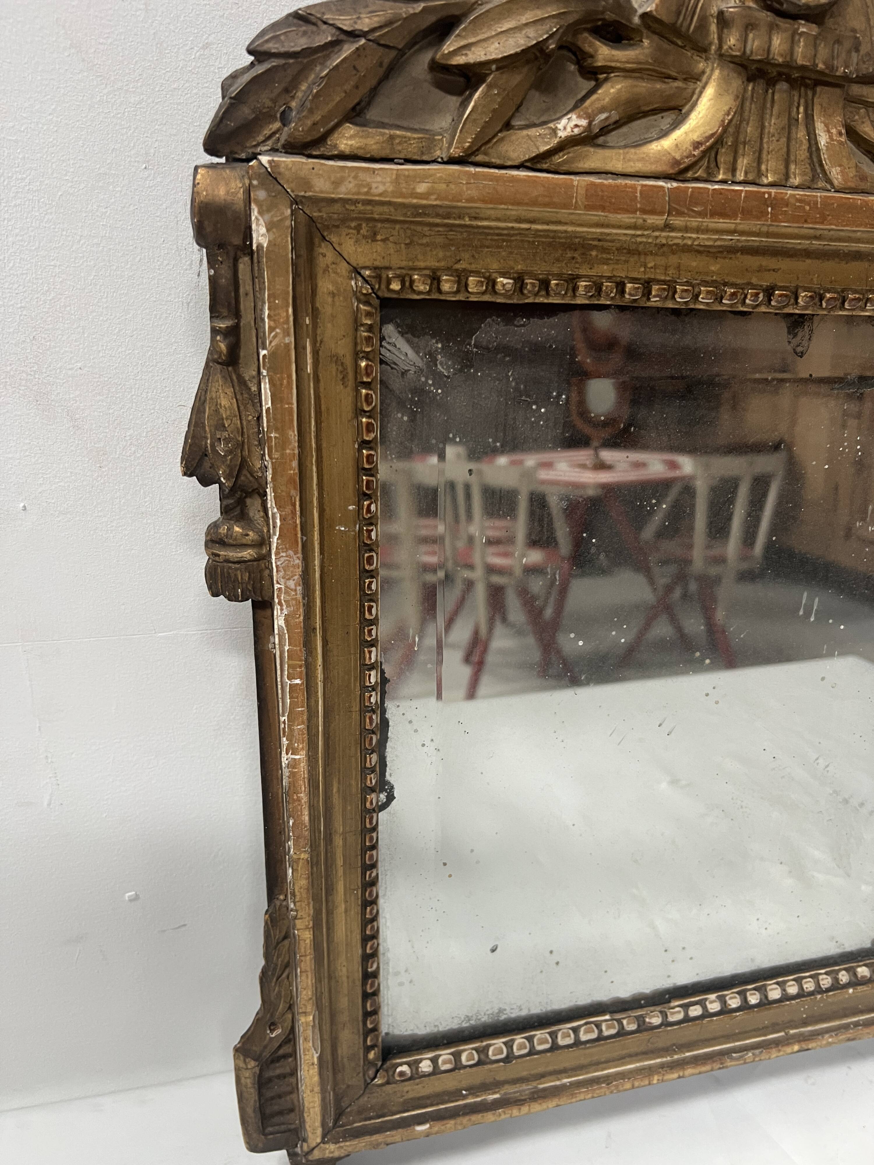 Louis XV mirror in carved and gilded wood, 18th century