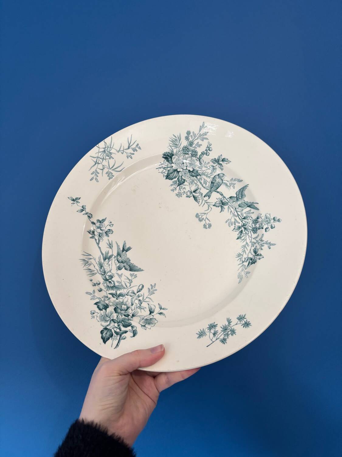 Round plate Longwy model Mignon – Antique earthenware with floral and bird decoration.