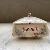 Legumiera Lavalliere