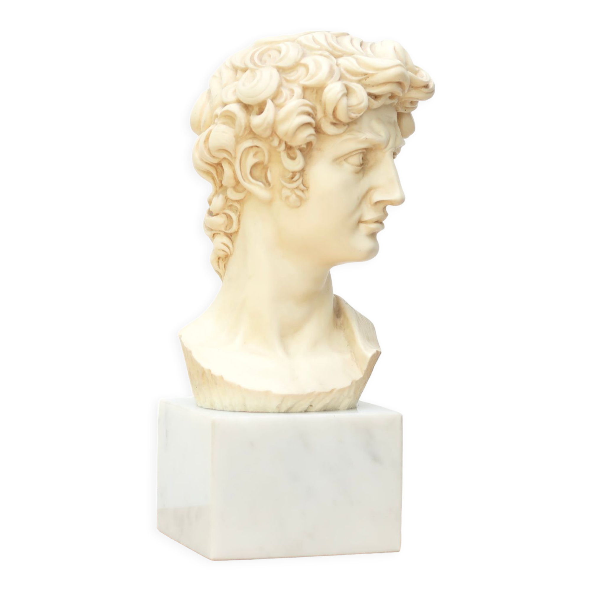 Bust of David by Michelangelo, 50s