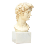 Bust of David by Michelangelo, 50s