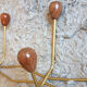 Vintage metal and wood coat rack year 50