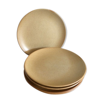 Set of 5 dessert stoneware plates