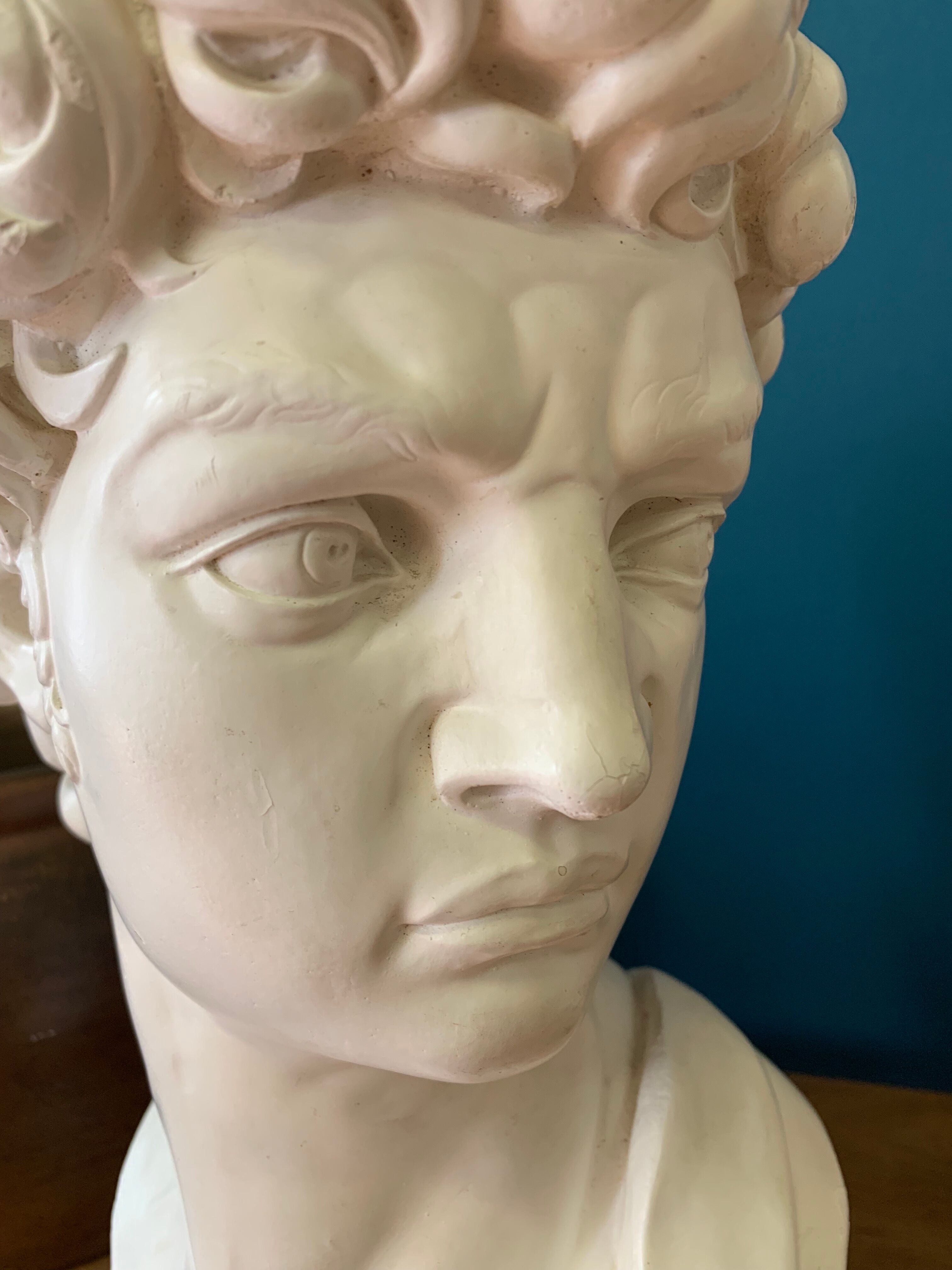 Plaster head of David bust