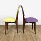 Duo de chaises colorées