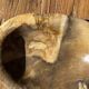 Dark beige oval petrified wood bowl 25x19 - 3782