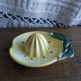 Citrus press lemon in slurry