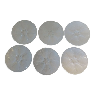 6 oyster plates 30123 porcelain white cnp france