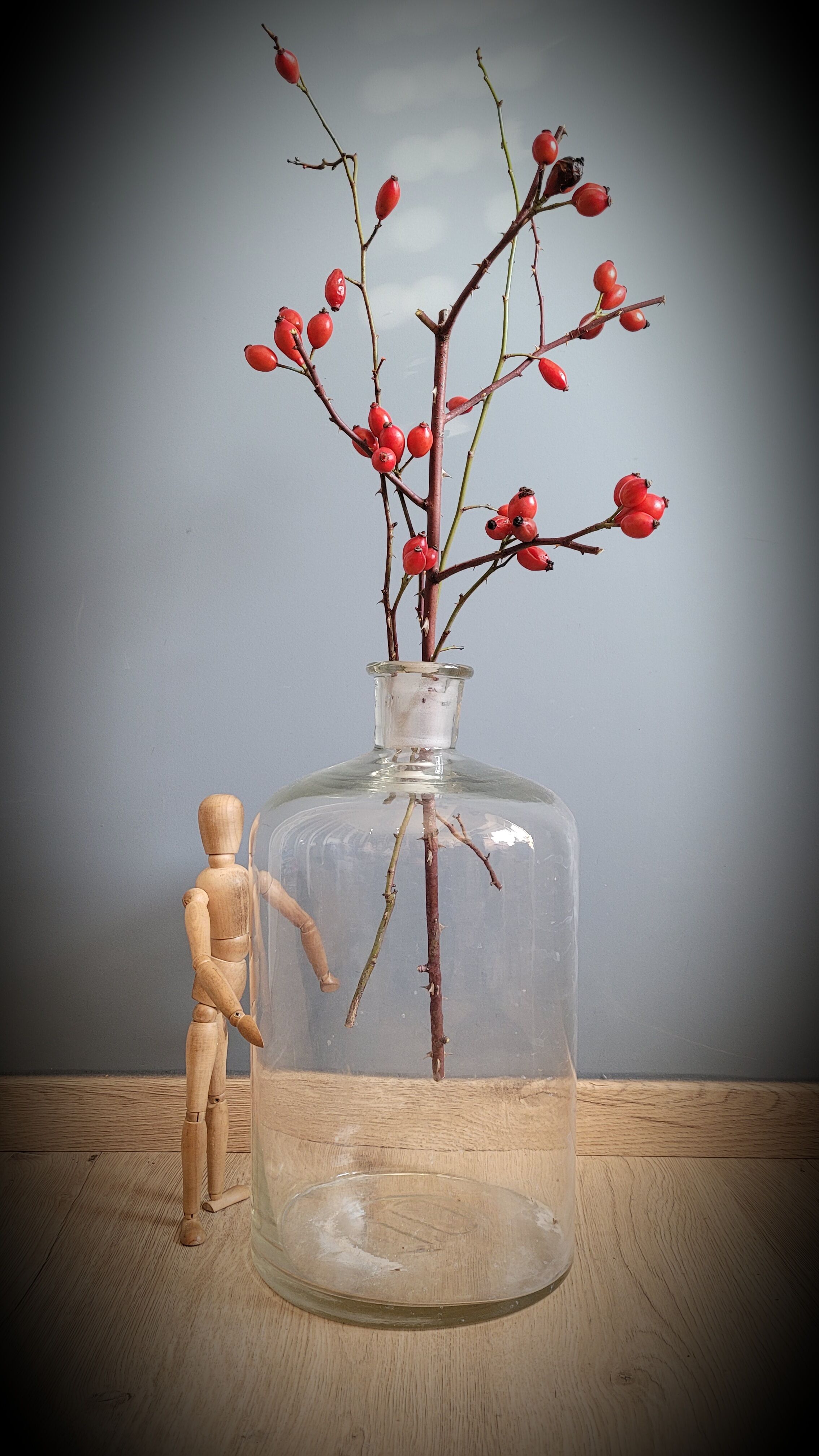 Transparent 10L apothecary bottle
