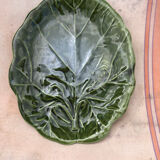 Cabbage dish