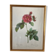 Feared lithograph