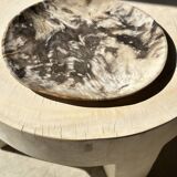 Very large empty pocket or dish in petrified wood