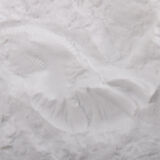 Large AK Kaiser porcelain vase with a white shell fossil pattern