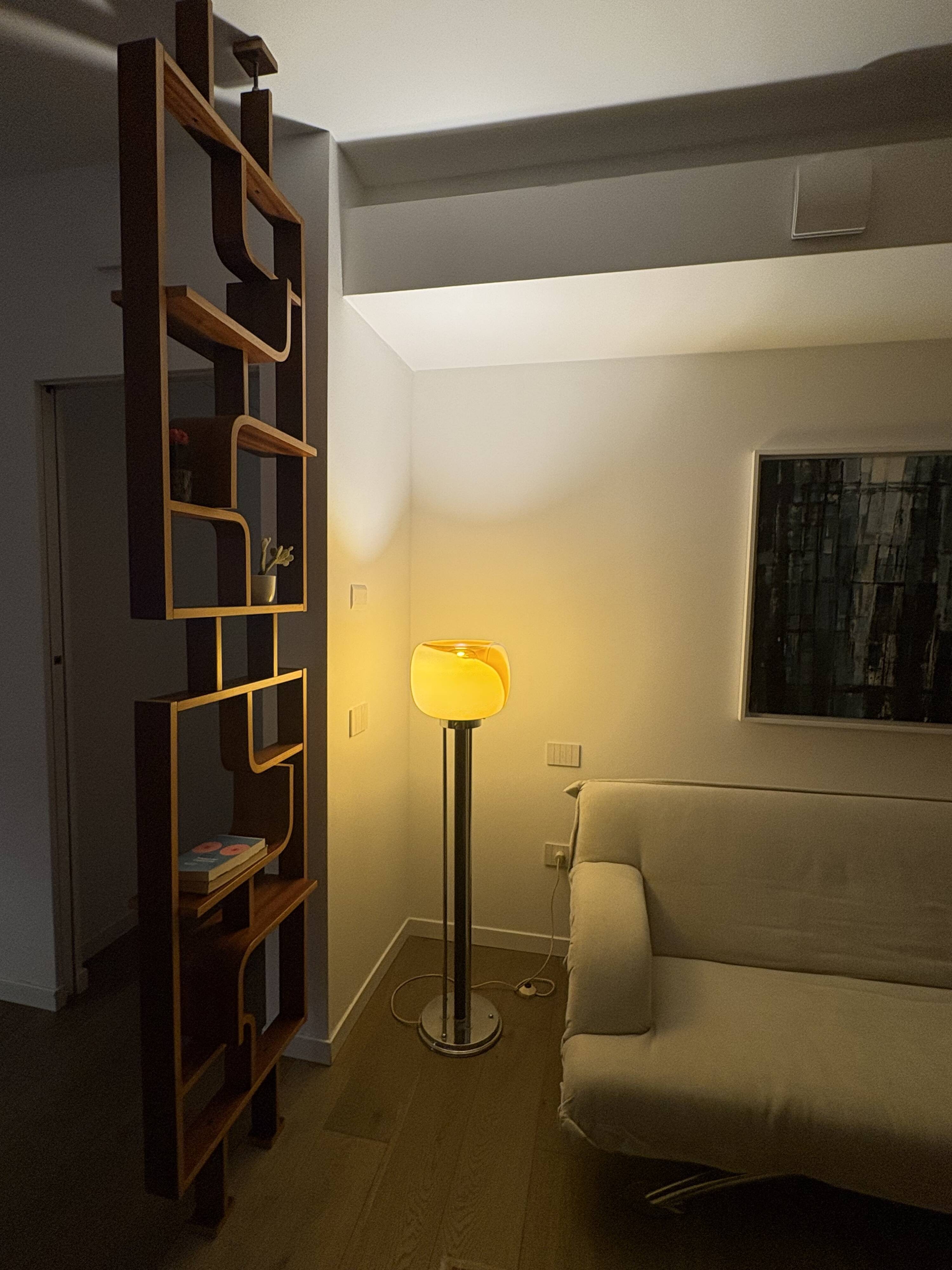 Restored Mid-Century Room Divider by L. Volak for Drevopodnik Holesov, 1960s