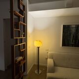 Restored Mid-Century Room Divider by L. Volak for Drevopodnik Holesov, 1960s