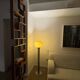 Restored Mid-Century Room Divider by L. Volak for Drevopodnik Holesov, 1960s