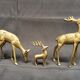 3 vintage animals deco / Brass Deer