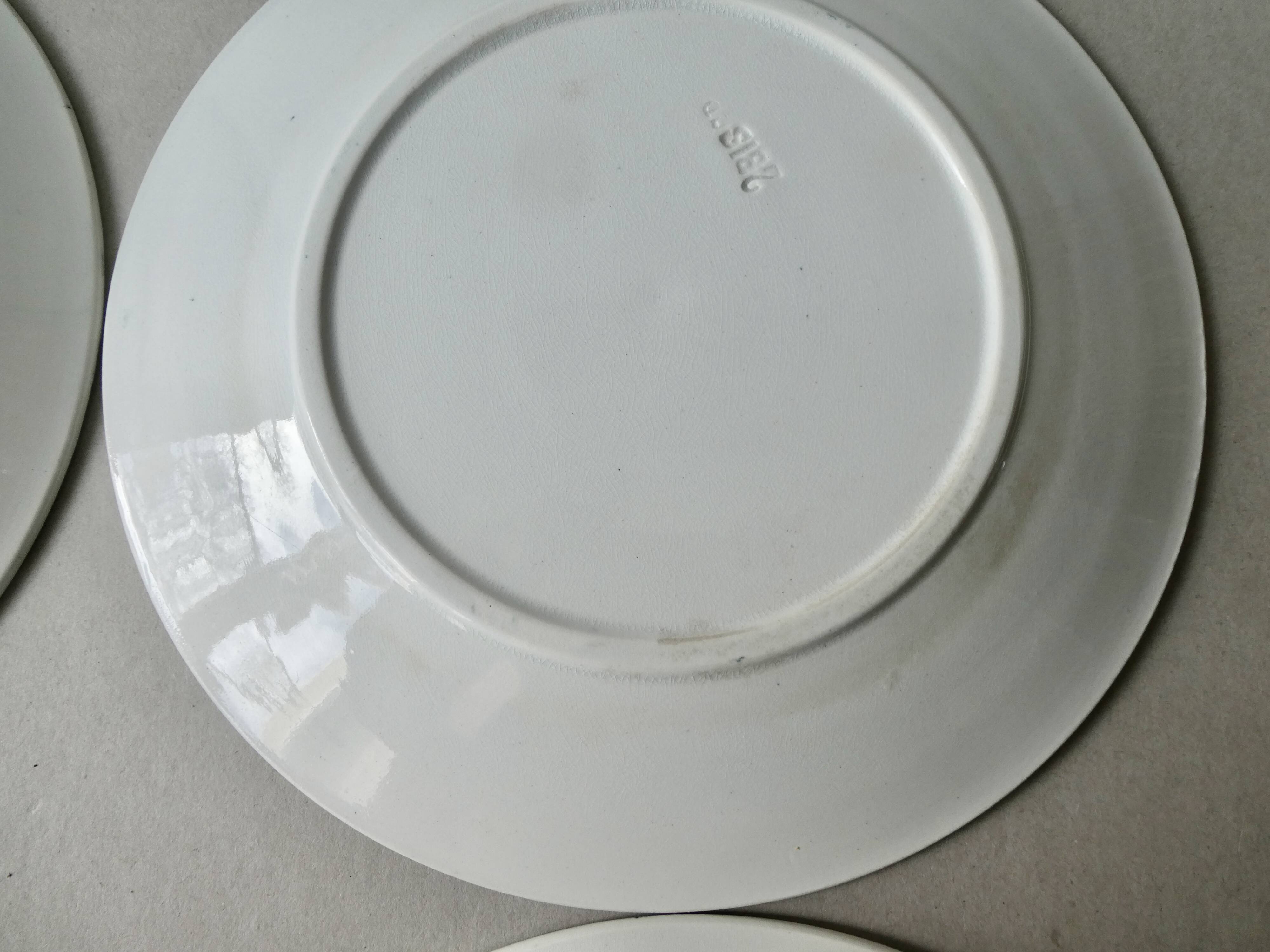 6 large ironstone plates, Badonviller France, D 24 cm