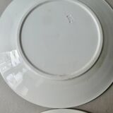 6 large ironstone plates, Badonviller France, D 24 cm