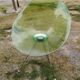 Phillipe Starck's Eros Chair