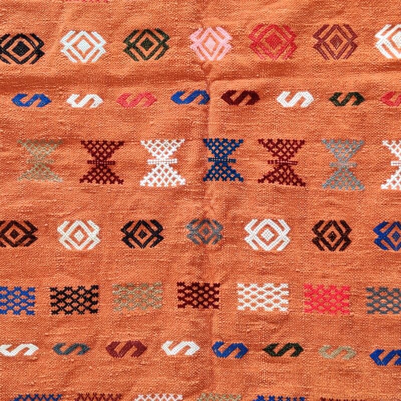 Ethnic Berber carpet Terracotta 95x150 cm