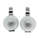 Pair of wall lamps