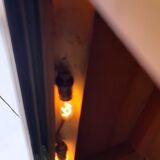 Art deco walnut showcase