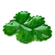 Green Ceramic Hors d'Oeuvres Dish in Leaf Shape, Art Deco Period