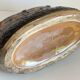 Vintage Barbotine Planter Cache-Pot