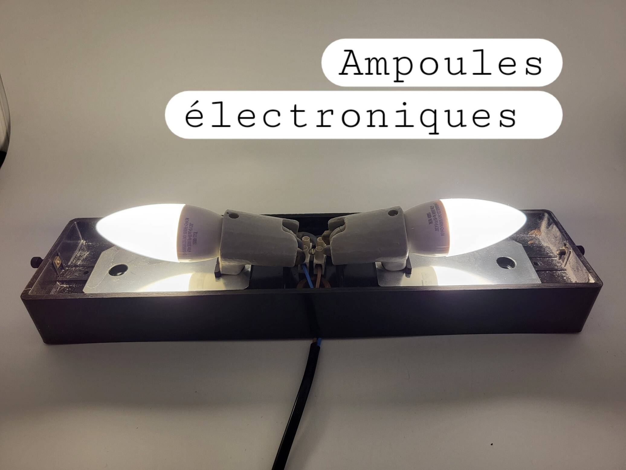 Erco Glass and Bakelite Wall Sconces 1960s, Set of 2 Vintage