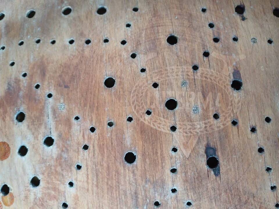 Beautiful Thonet chair n14