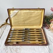 12 vintage Pradel stainless steel bakelite knives