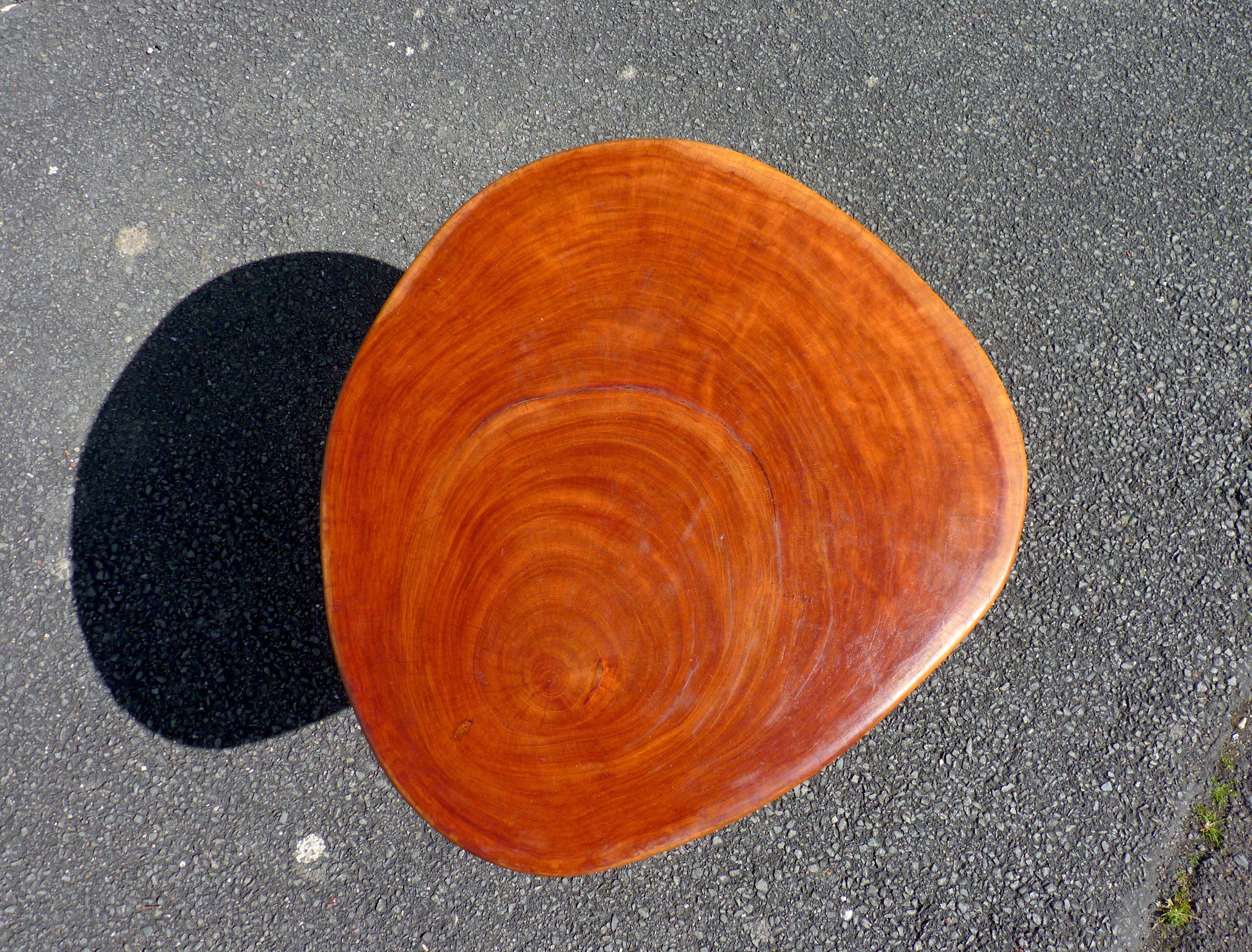 Table basse en bois de neem cuivré aspect coquillage