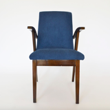 Fauteuil type 300-123 Puchały par Mieczysław Puchała pour Bystrzycka Furniture Factory, années 1950