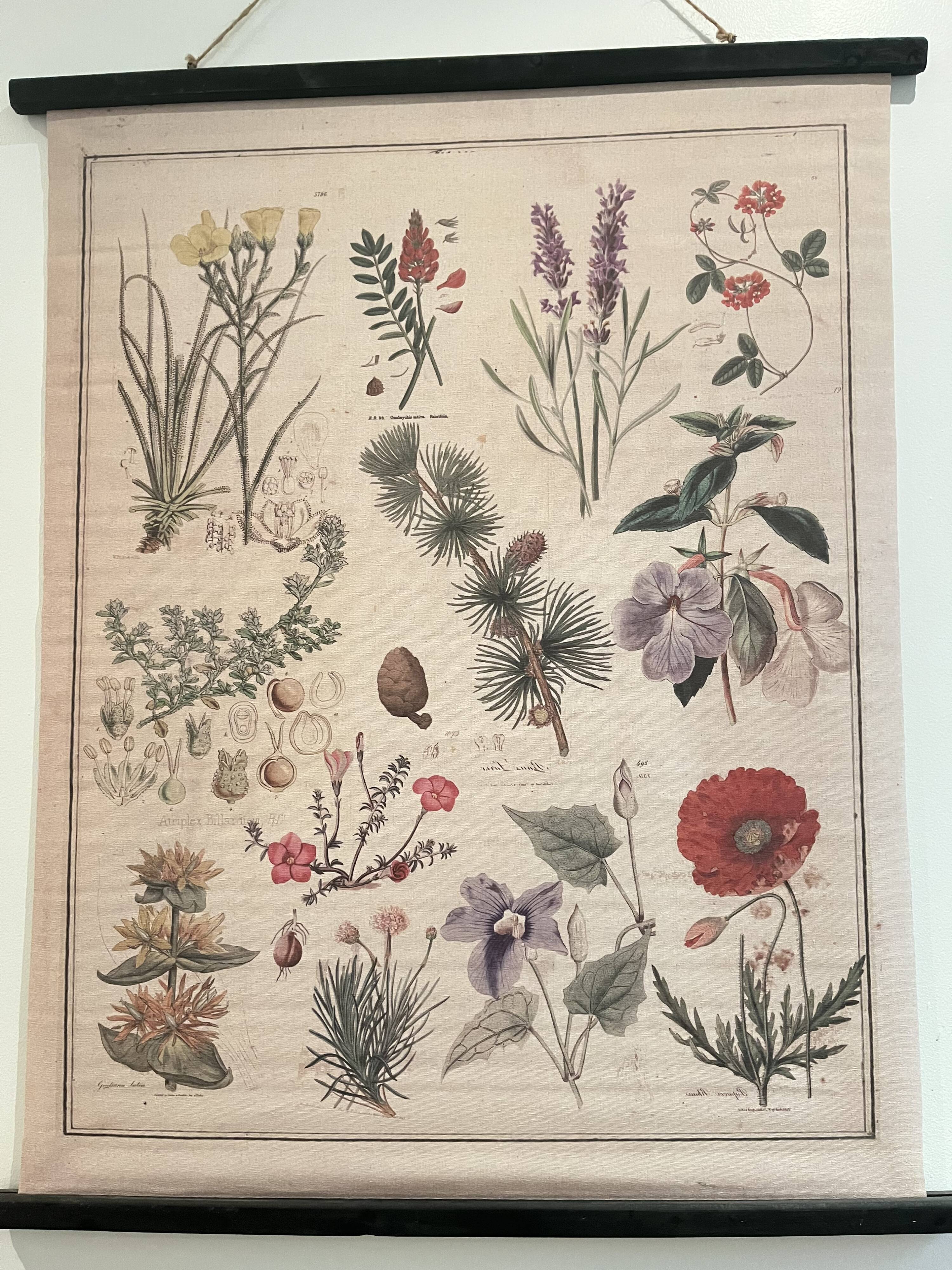 Tapisserie, toile botanique fleurs