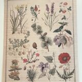 Tapestry, botanical canvas flowers