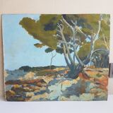 "D'Antibes à Cannes". Ancienne huile sur carton