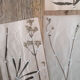 Ancient herbarium boards