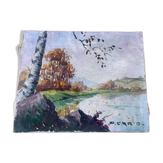 Oil on canvas by the pond signed P.Cario