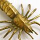Brass shrimp